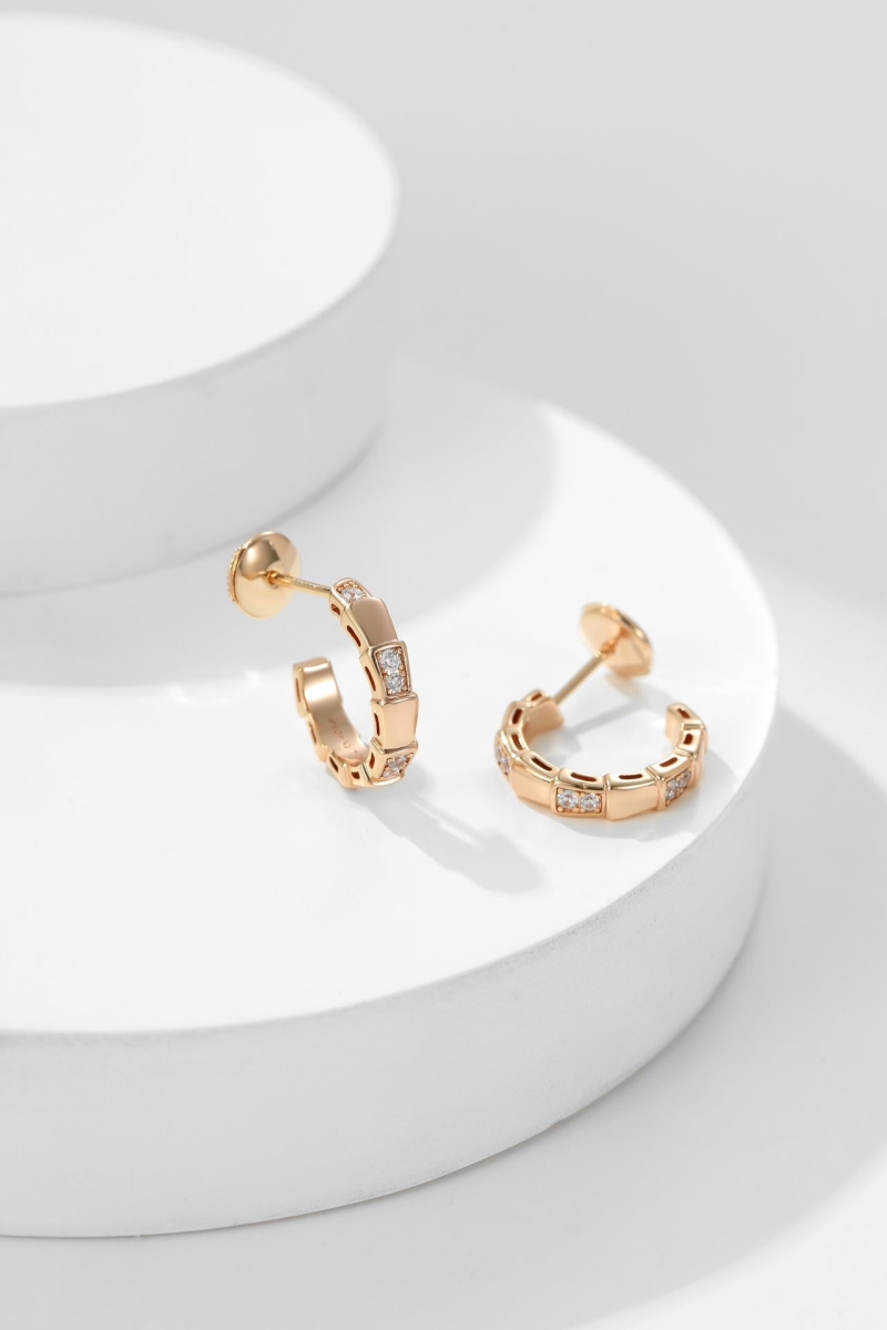 Bottega VENENTA Earrings